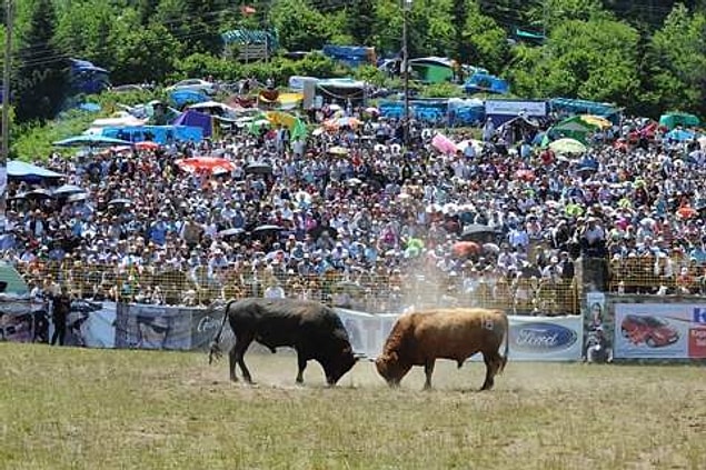 2. Artvin’in kültür ve geleneklerini