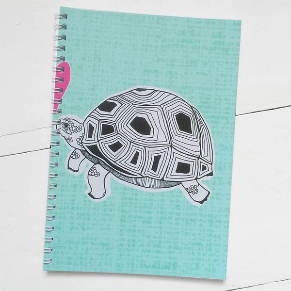 20. Тетрадка с черепашкой
