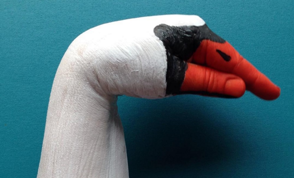 Ellerini Boyayarak Onları Çeşitli Hayvanlara Dönüştüren Sanatçının 16 Çalışması