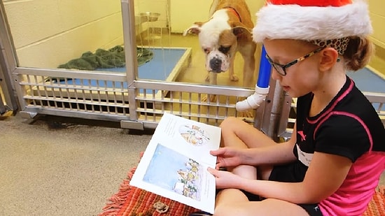 Barınakta Yalnızlıklarıyla Baş Başa Kalan Köpeklere Kitap Okuyan Çocuklar