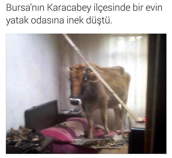 1. Bursa