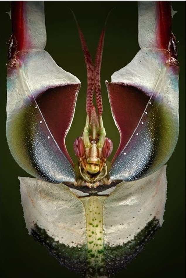 4.