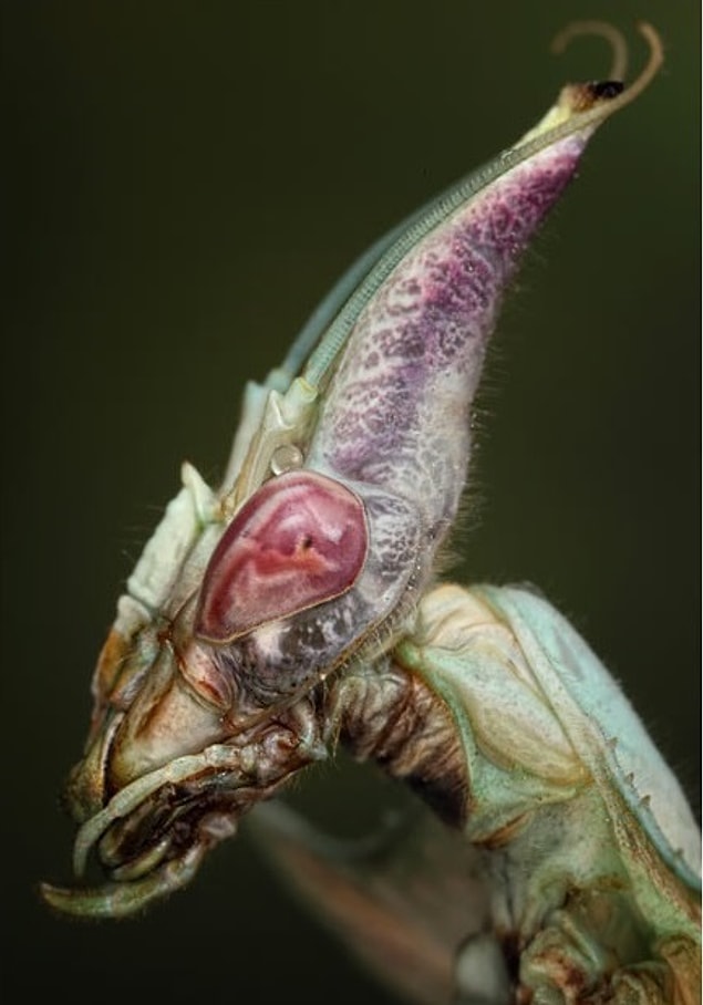 5.