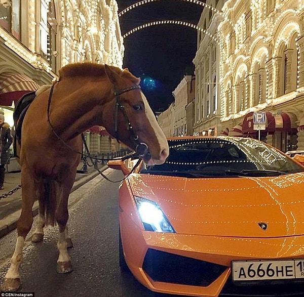 Rusya sokaklarında bir yerde, etkileyici görünüşe sahip bir Lamborghini ve hemen yanındaki at, gerçekten de garip bir kare oluşturuyor.