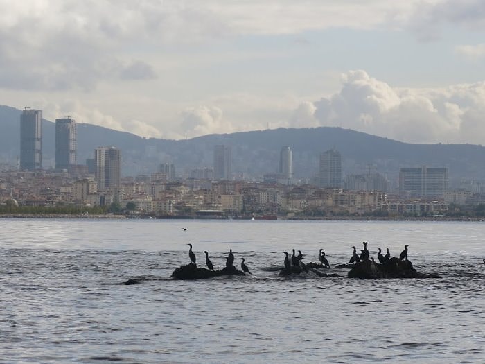 İstanbul’un Batık Adası Vordonisi, UNESCO Dünya Mirası Listesi Yolunda