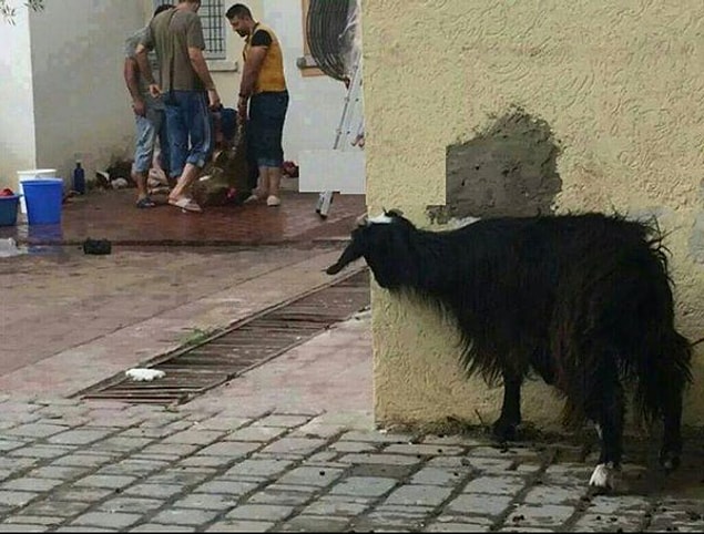 5.