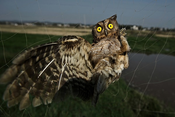 26. Номинация: Проблемы современности