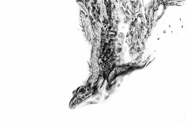 28. Номинация: Нужный момент