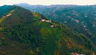 Drone Pilotları Karadeniz İçin Uçtu: ‘Karadeniz Hep Yeşil Kalsın...’