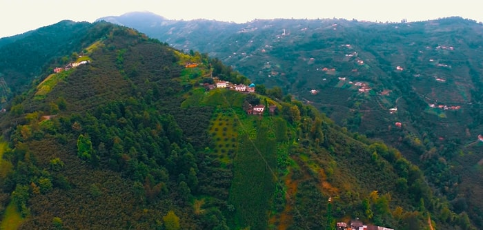Drone Pilotları Karadeniz İçin Uçtu: ‘Karadeniz Hep Yeşil Kalsın...’