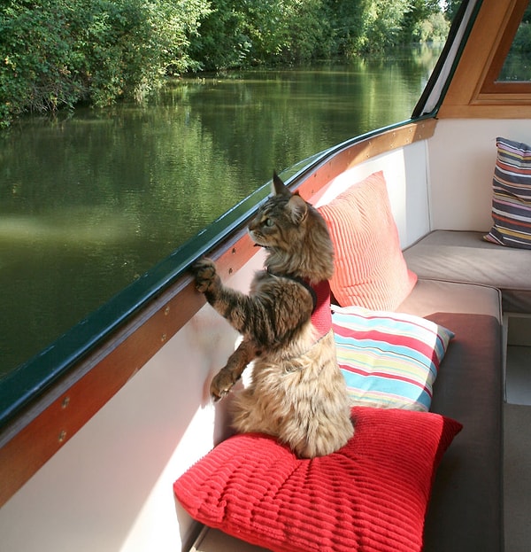 18. История ведется от имени Тулы, приглашающей нас ознакомиться с миром Айрис.