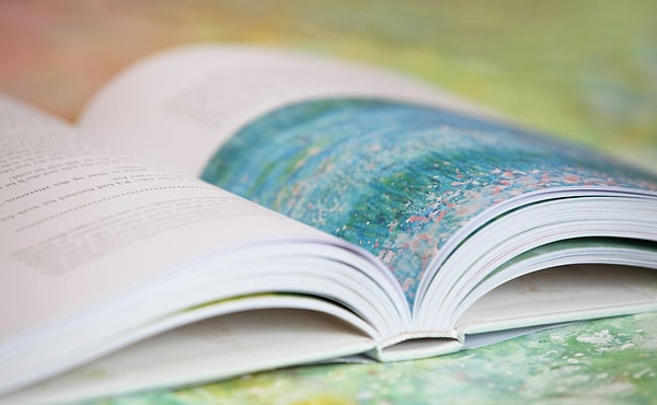 16. Мама Айрис решила выпустить книгу о своей дочери, рассказать ее историю.