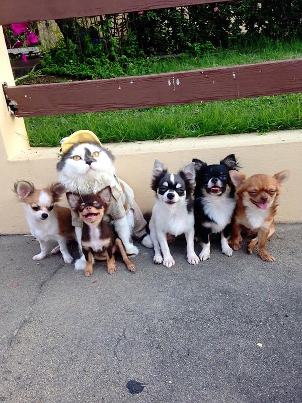 6. Похоже, что они собрались в путешествие 🚃