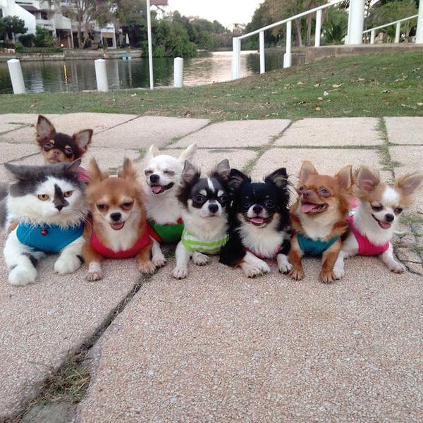 7. В ярких костюмчиках