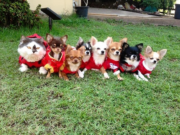 8. И снова вместе