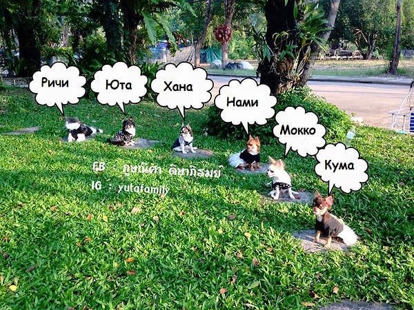 3. Перекличка. Кого-то не хватает...