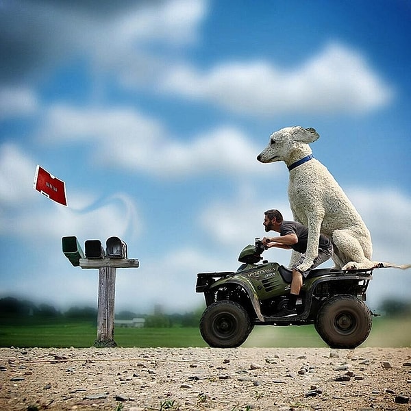 3. Добиться такого эффекта было нелегко, но и собака, и ее хозяин получили кучу положительных эмоций в процессе работы.