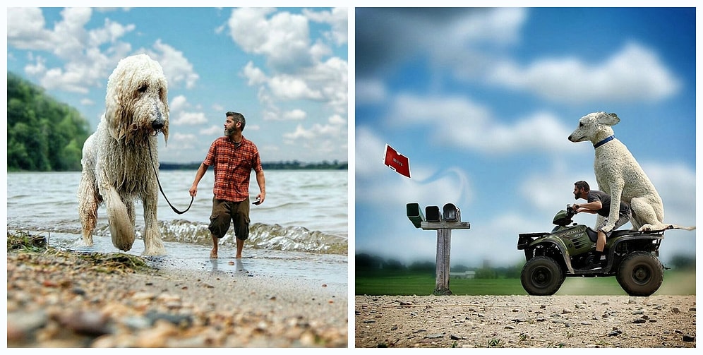 Насколько БОЛЬШУЮ роль играет собака в жизни человека