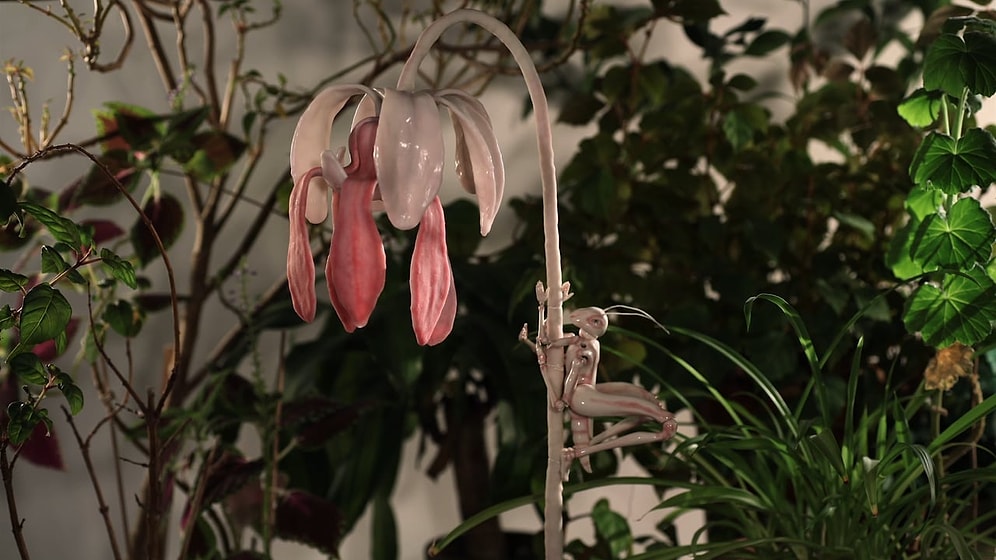 Удивительное рядом: зима в дождевых лесах