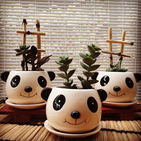 12. Кашпо "Панды"