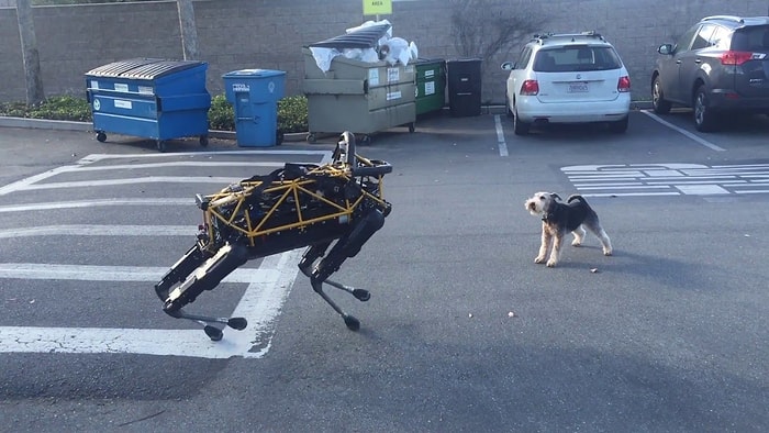 Google'ın Robot Köpeğini Gerçek Köpek ile Oynarken Seyredin