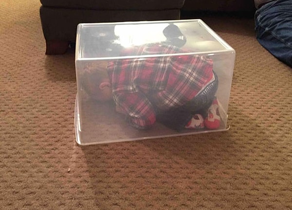 6. Спрятался