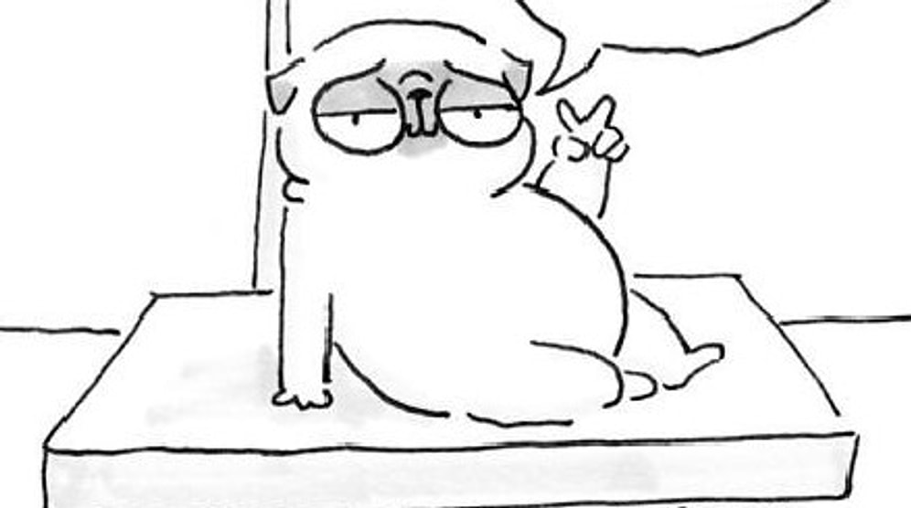 15 забавных иллюстраций о том, каково быть хозяином мопса