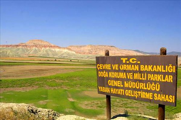 8. Çünkü sen yol yapmak, fabrika dikmek, santral kurmak için gözünü kırpmadan yeşil harcayacak kadar cömert olamazsın, olmamalısın.