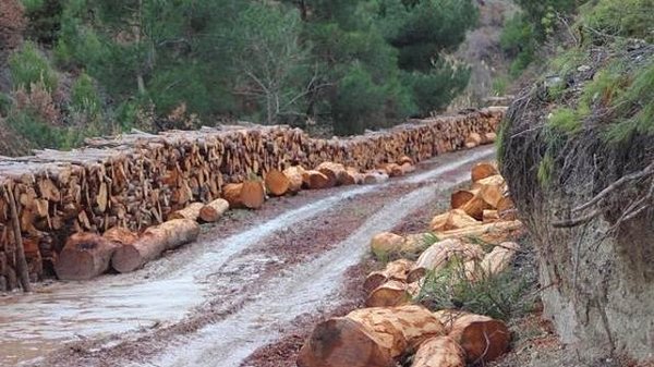 20. Yol kenarlarına yığdığınız bu kütükler.