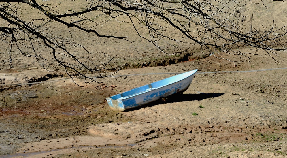 Sanıyor musunuz ki Doğa Ondan Aldıklarınızı Geri İstemeyecek?