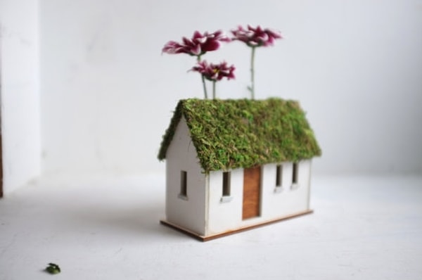 13. Ваза в виде коттеджа, крыша которого покрыта мхом 🏠