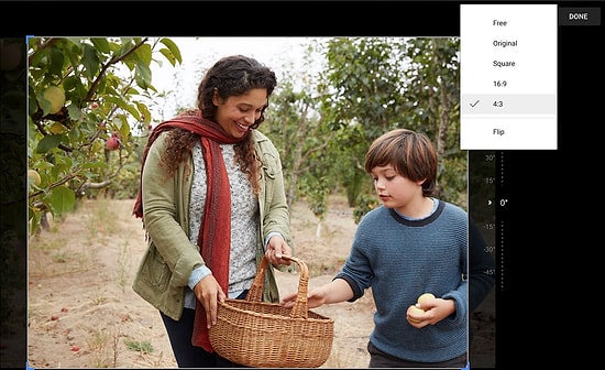 Google Fotoğraflar, İhtiyaç Duyulan Düzenleme Araçlarını Getirdi