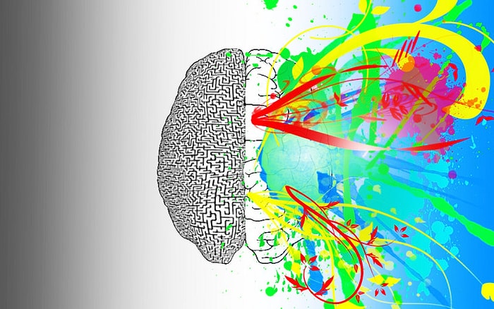 Sanat Bizim İçindir: Sadece Yaratıcı İnsanların Sahip Olduğu 10 Ayırt Edici Özellik