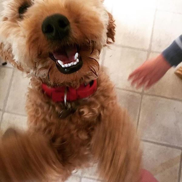 2. Приветствие гостей