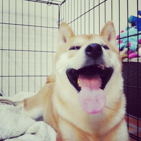 6. «Иди в свою комнату»