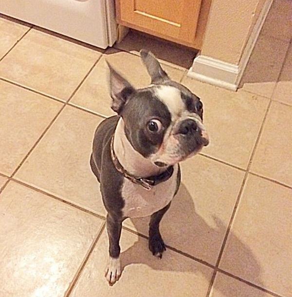 15. Писать в знак подчинения