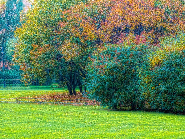 6. Выберите только один цвет.