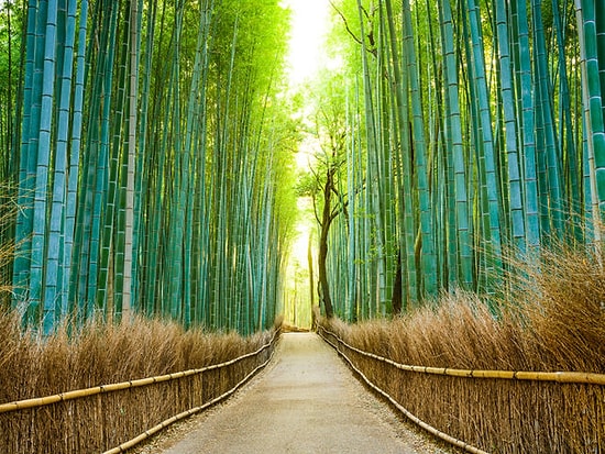 Кто вы на самом деле: Реалист, Идеалист или Сюрреалист?