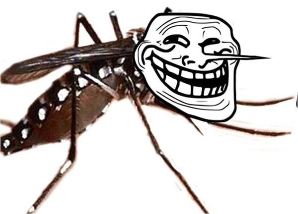 15. Sivrisineklerin 47 dişi vardır.