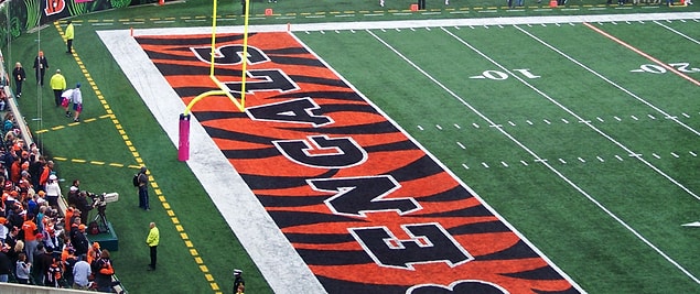 Sahanın her iki ucunda 10’ar yardlık gol(touchdown) bölgeleri mevcuttur. Bu bölgelere ‘end zone’ denir.