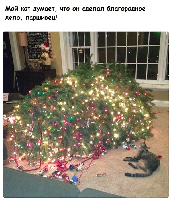13. Не надо было оставлять кота 😼 наедине с елкой 🎄: