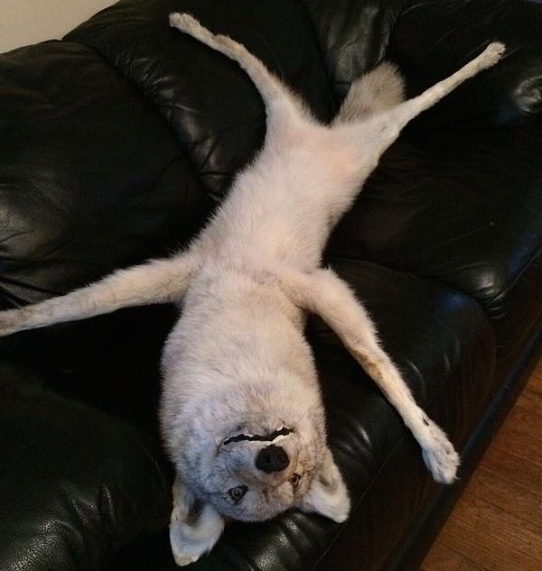 17. Но когда ты перестал бороться, было ТАК классно