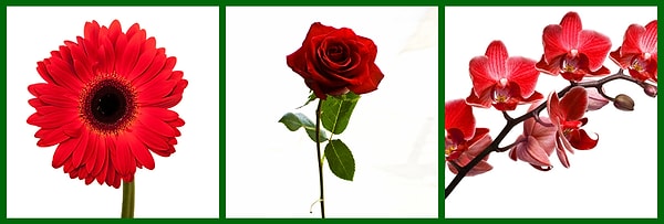 1. Красный цвет считается цветом любви и страсти