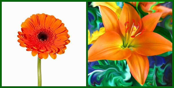 3. Оражевый цвет – символ радости и солнца