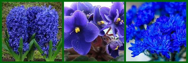 4. Синий цвет – доверие и верность