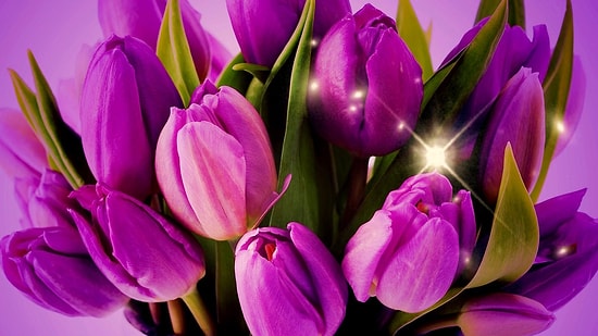 Язык цветов: как порадовать девушку на 8 марта