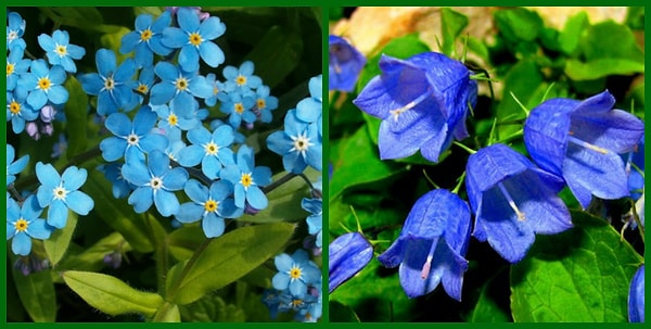 6. Голубой цвет – символ чистоты и невинности