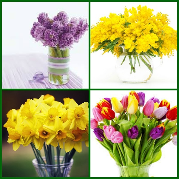 8. На случай же, если вы не знаете предпочтений своей спутницы, подарите ей какие-нибудь из этих традиционных для 8 марта цветов: мимозу, тюльпаны, гиацинты или нарциссы.