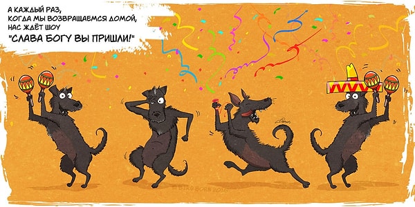 2. О том, каково иметь дома собаку, взятую из приюта