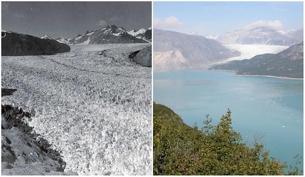 15. Muir Buzulları, Alaska; 1941-2004 Arası